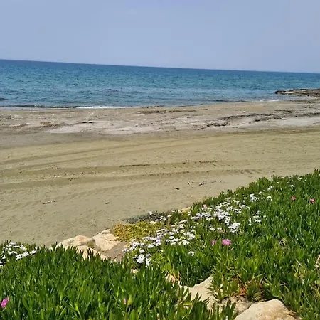 Βίλα Luksuzna Vila Ob Plazi Z Bazenom Πάφος